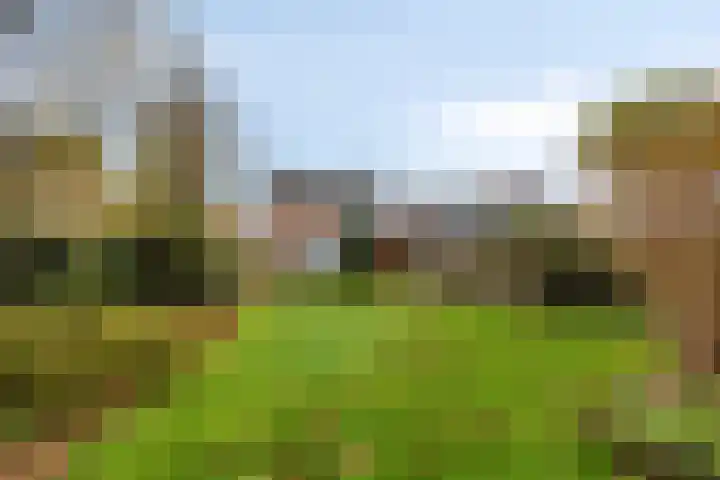 Oranjelaan 41 Beek en Donk thumbnail 38