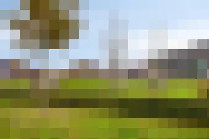 Oranjelaan 41 Beek en Donk thumbnail 46