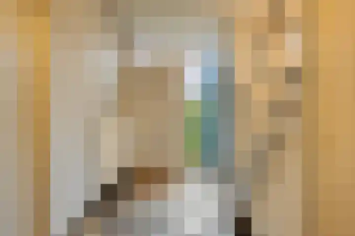 Oranjelaan 41 Beek en Donk thumbnail 5