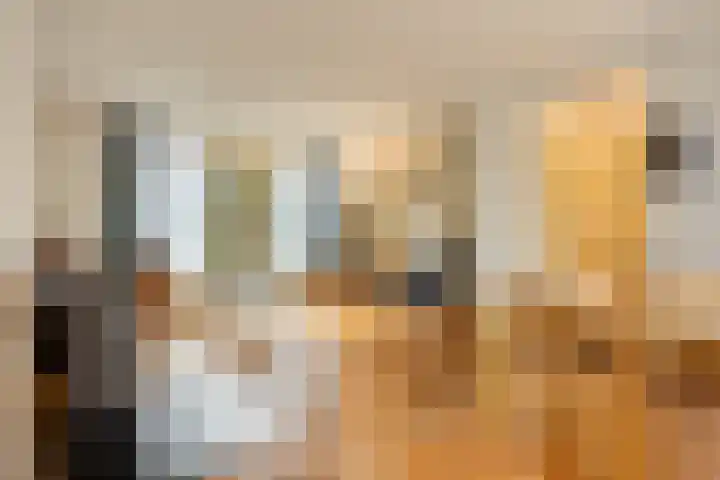 Oranjelaan 41 Beek en Donk thumbnail 8