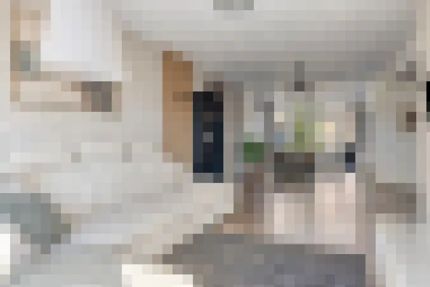 Oranjelaan 41 Oudheusden thumbnail 13