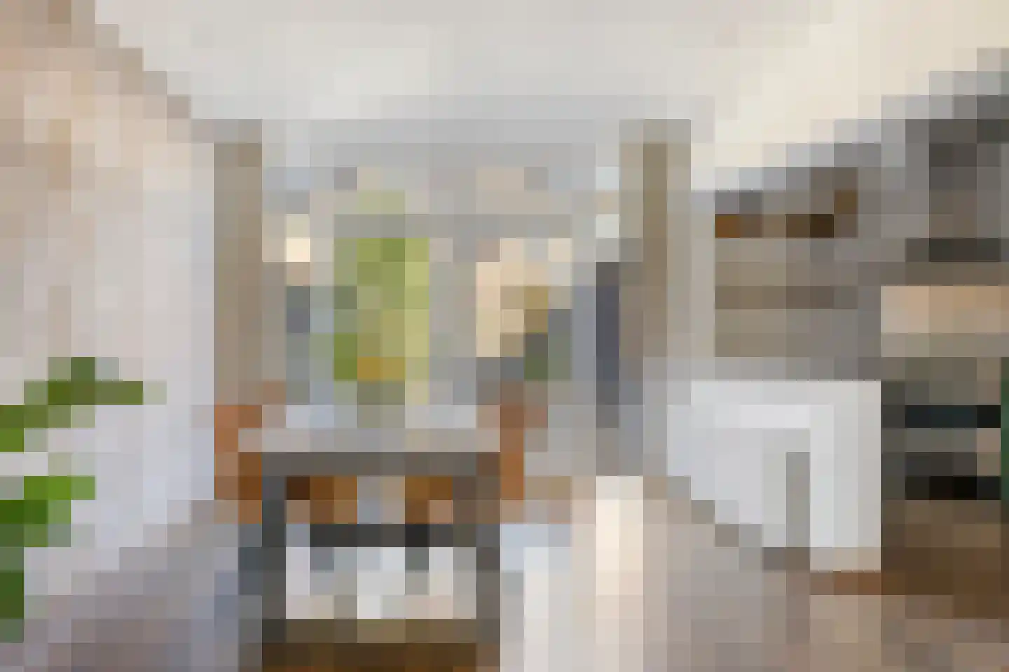 Oranjelaan 41 Oudheusden thumbnail 15