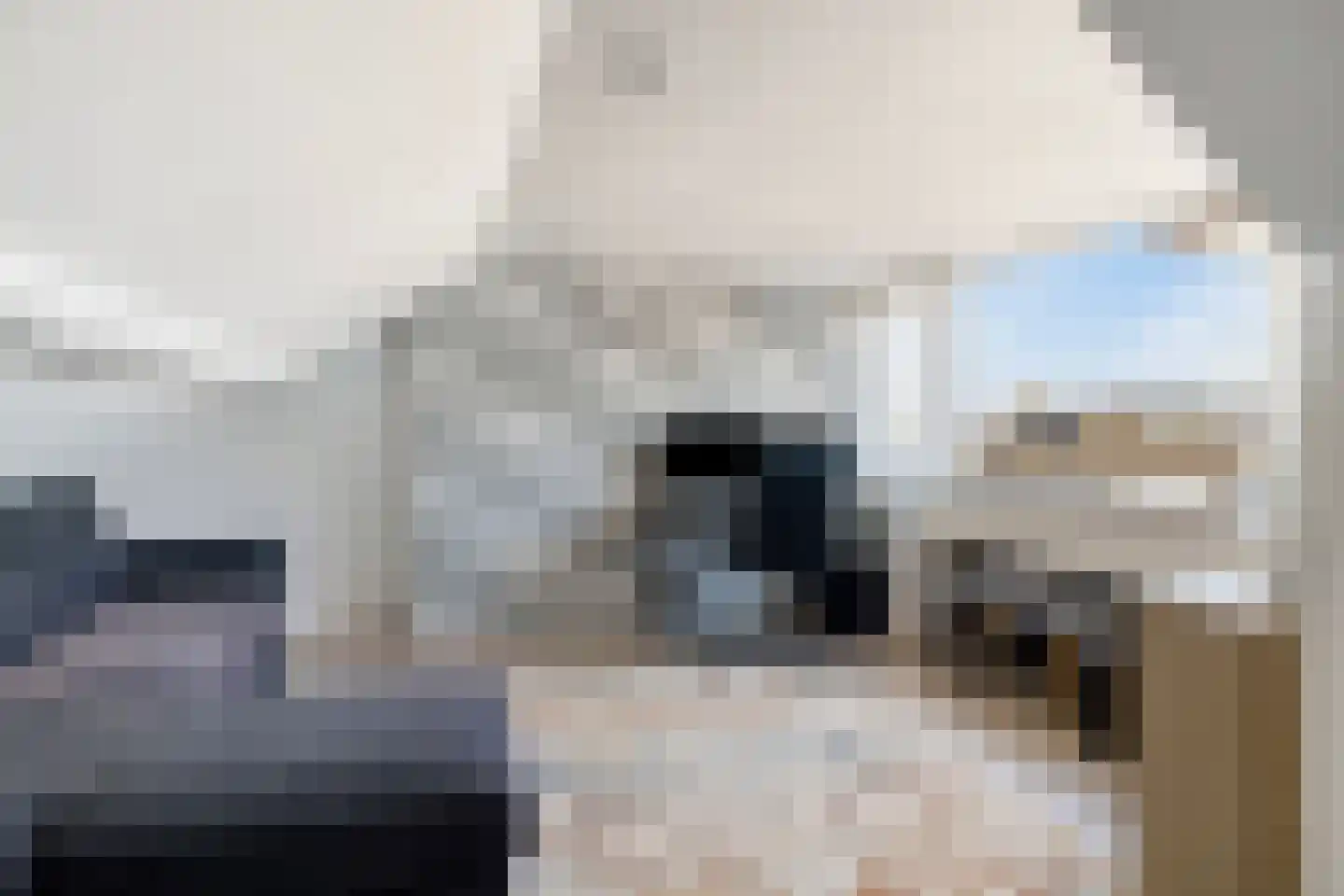 Oranjelaan 41 Oudheusden thumbnail 32