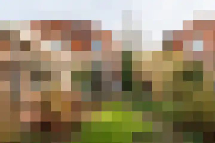 Oranjelaan 42 Driebergen-Rijsenburg thumbnail 25