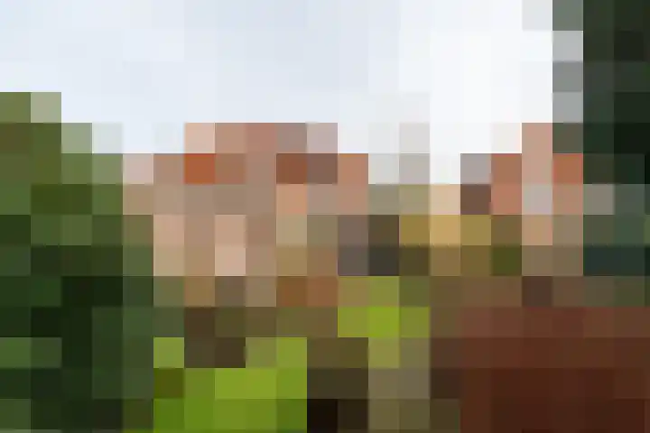 Oranjelaan 42 Driebergen-Rijsenburg thumbnail 26