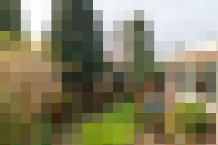 Oranjelaan 42 Driebergen-Rijsenburg thumbnail 27