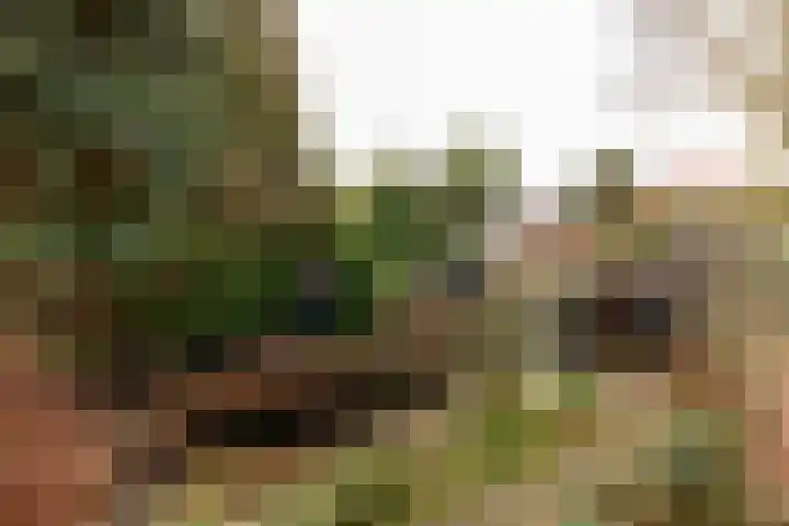 Oranjelaan 42 Driebergen-Rijsenburg thumbnail 29