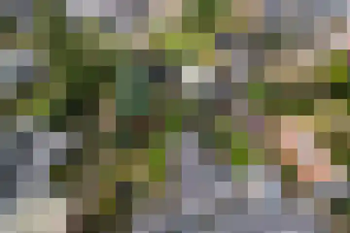 Oranjelaan 42 Driebergen-Rijsenburg thumbnail 30