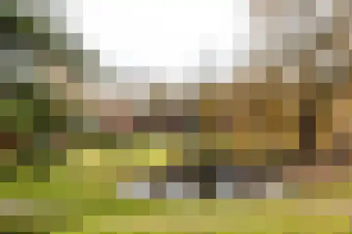 Oranjelaan 42 Driebergen-Rijsenburg thumbnail 31
