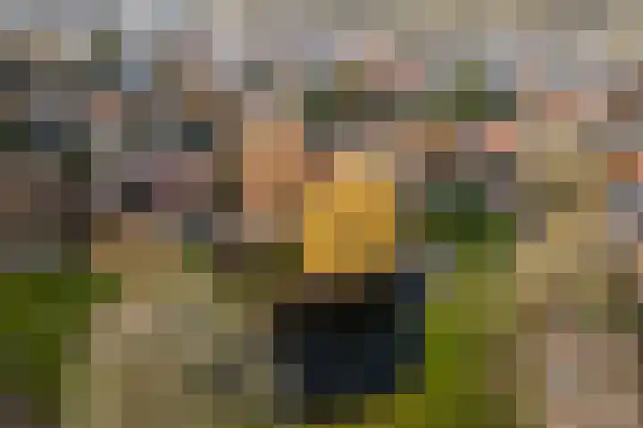 Oranjelaan 42 Driebergen-Rijsenburg thumbnail 32