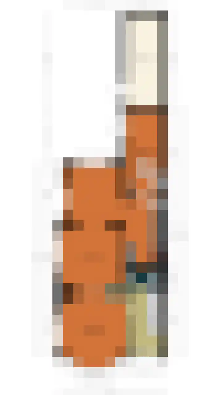 Oranjelaan 42 Driebergen-Rijsenburg thumbnail 33