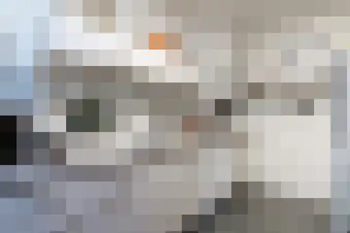 Oranjelaan 42 Driebergen-Rijsenburg thumbnail 9