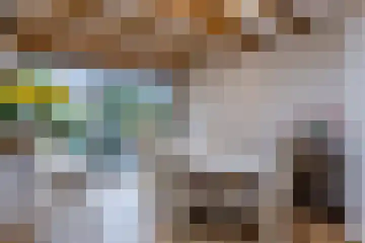 Oranjelaan 42 Lisse thumbnail 20