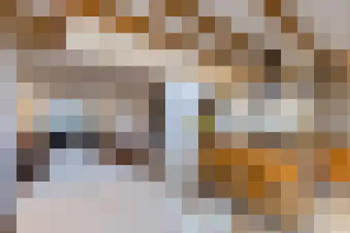 Oranjelaan 42 Lisse thumbnail 21