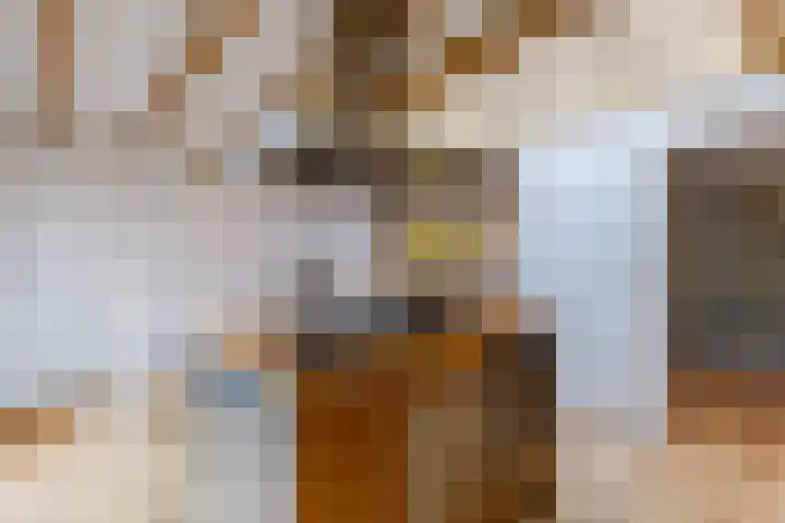 Oranjelaan 42 Lisse thumbnail 24