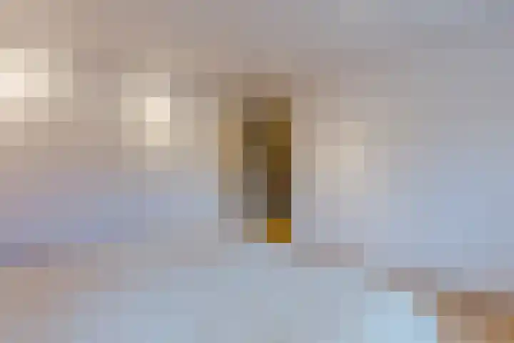 Oranjelaan 42 Lisse thumbnail 26