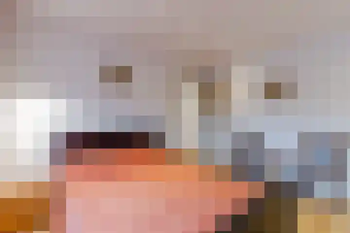 Oranjelaan 42 Lisse thumbnail 28