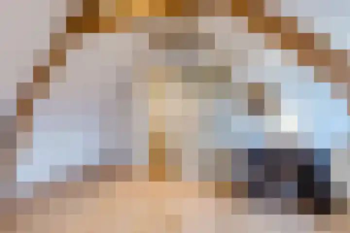 Oranjelaan 42 Lisse thumbnail 37