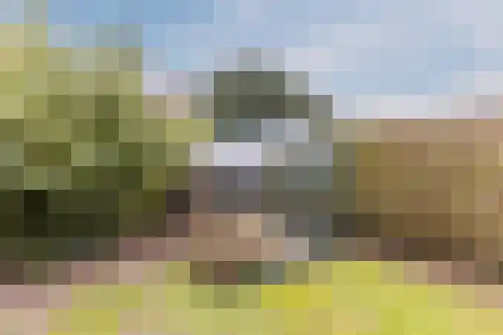 Oranjelaan 42 Lisse thumbnail 40