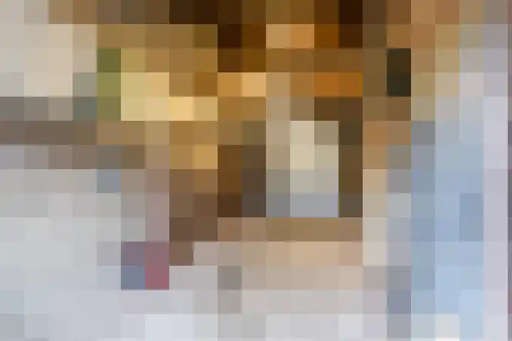 Oranjelaan 42 Lisse thumbnail 41