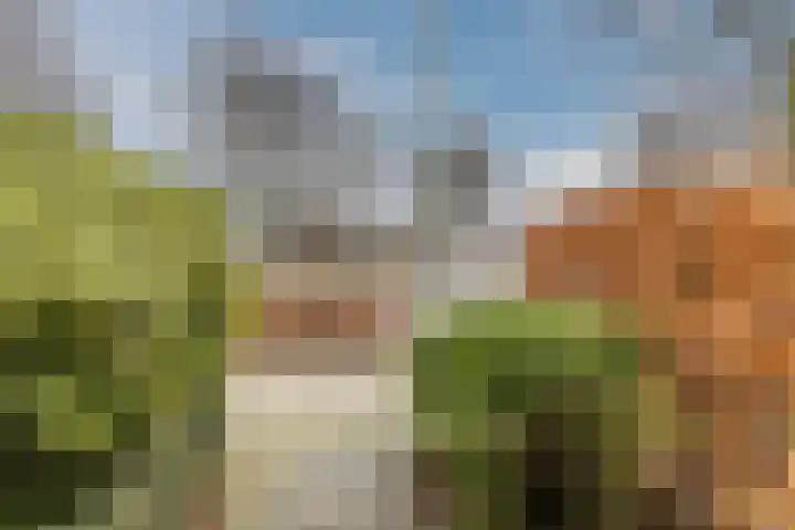 Oranjelaan 42 Lisse thumbnail 7