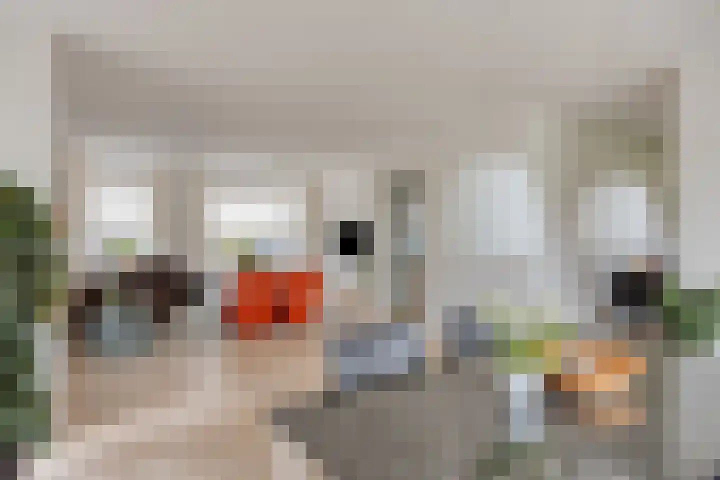 Oranjelaan 45 Maasbracht thumbnail 15