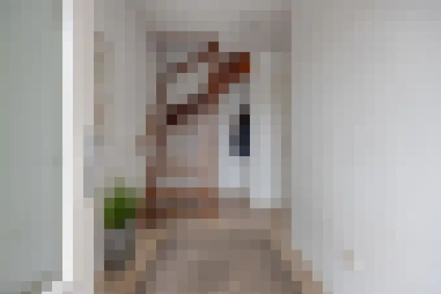 Oranjelaan 45 Maasbracht thumbnail 28