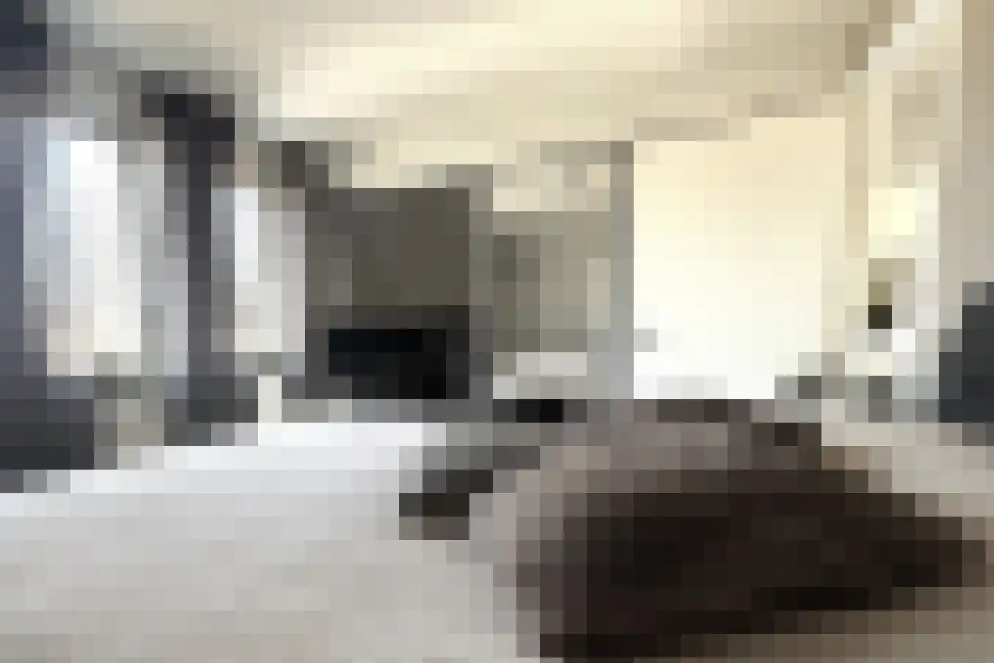 Oranjelaan 45 Maasbracht thumbnail 34