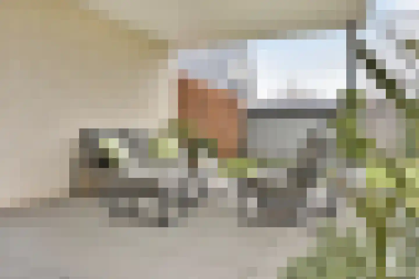 Oranjelaan 45 Maasbracht thumbnail 49