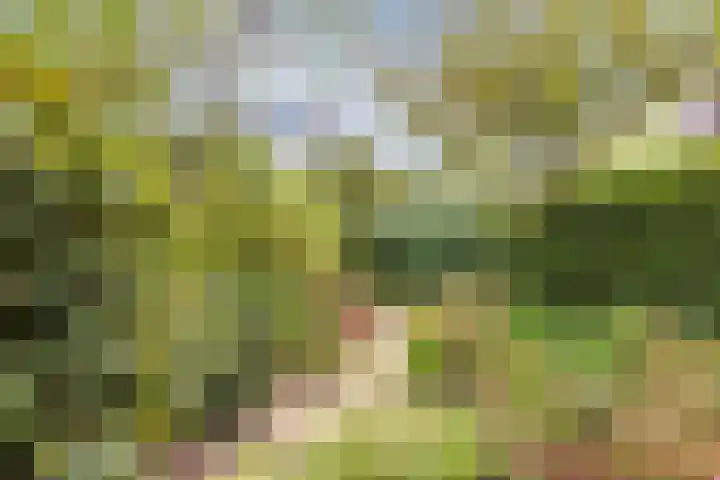 Oranjelaan 5 Amersfoort thumbnail 29