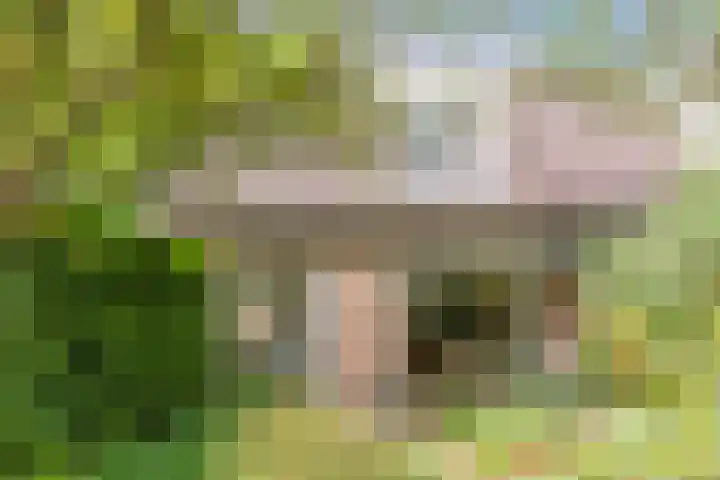 Oranjelaan 5 Amersfoort thumbnail 31