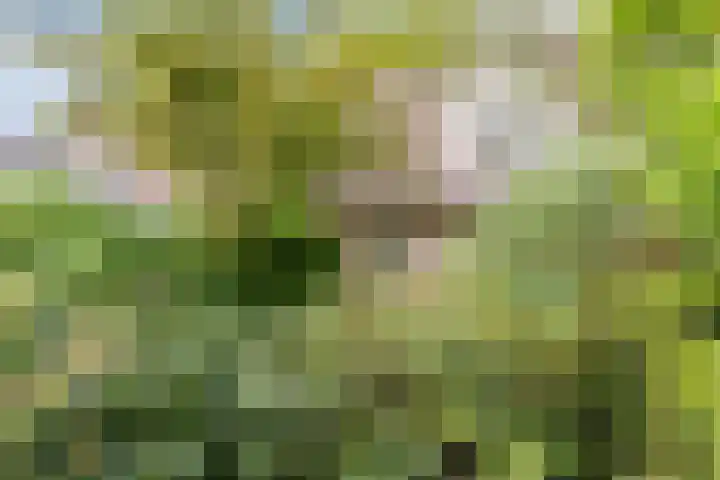 Oranjelaan 5 Amersfoort thumbnail 32