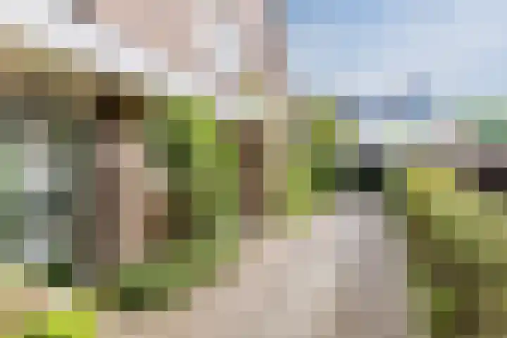 Oranjelaan 5 Amersfoort thumbnail 33