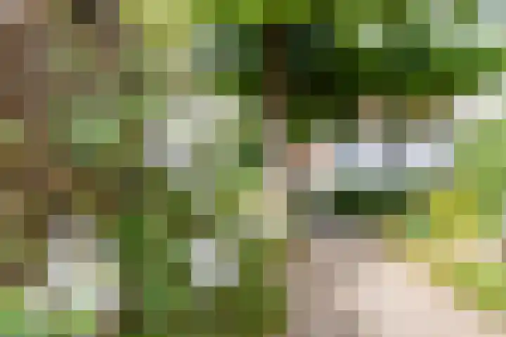 Oranjelaan 5 Amersfoort thumbnail 34
