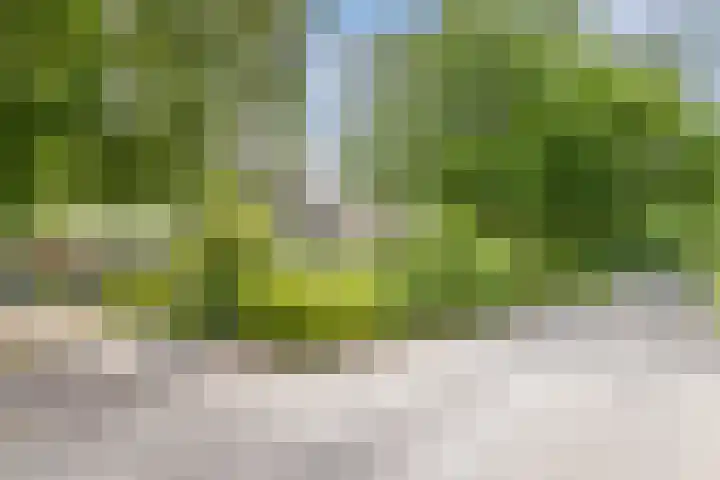 Oranjelaan 5 Amersfoort thumbnail 35