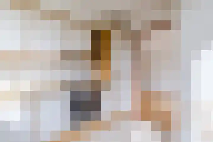 Oranjelaan 5 Amersfoort thumbnail 8