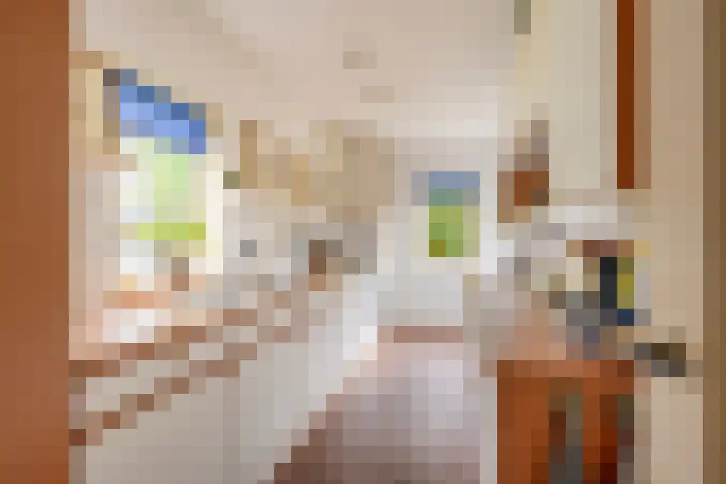 Oranjelaan 5 Groenekan thumbnail 18