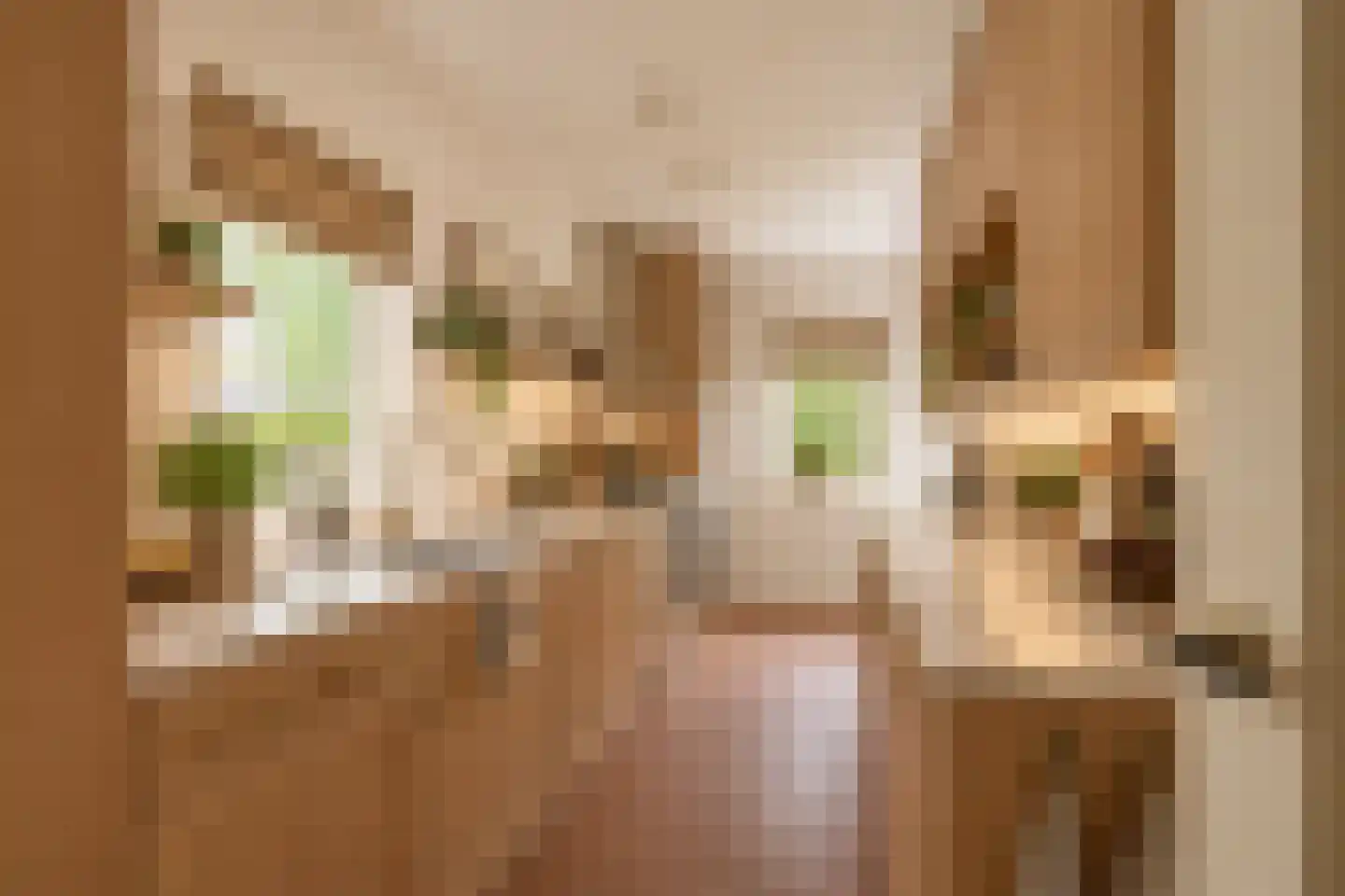 Oranjelaan 5 Groenekan thumbnail 19