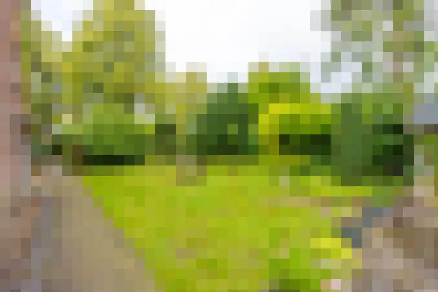 Oranjelaan 5 Groenekan thumbnail 4