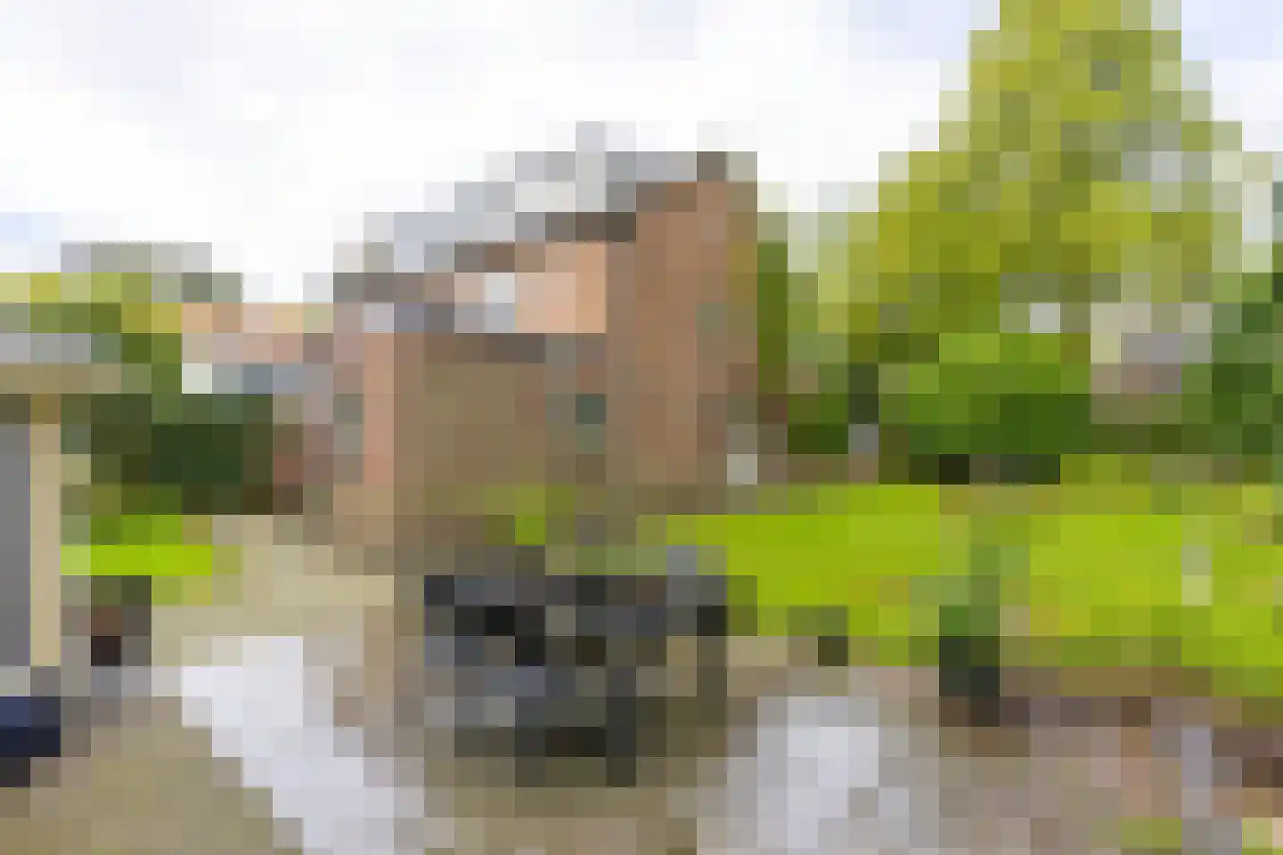 Oranjelaan 5 Groenekan thumbnail 8
