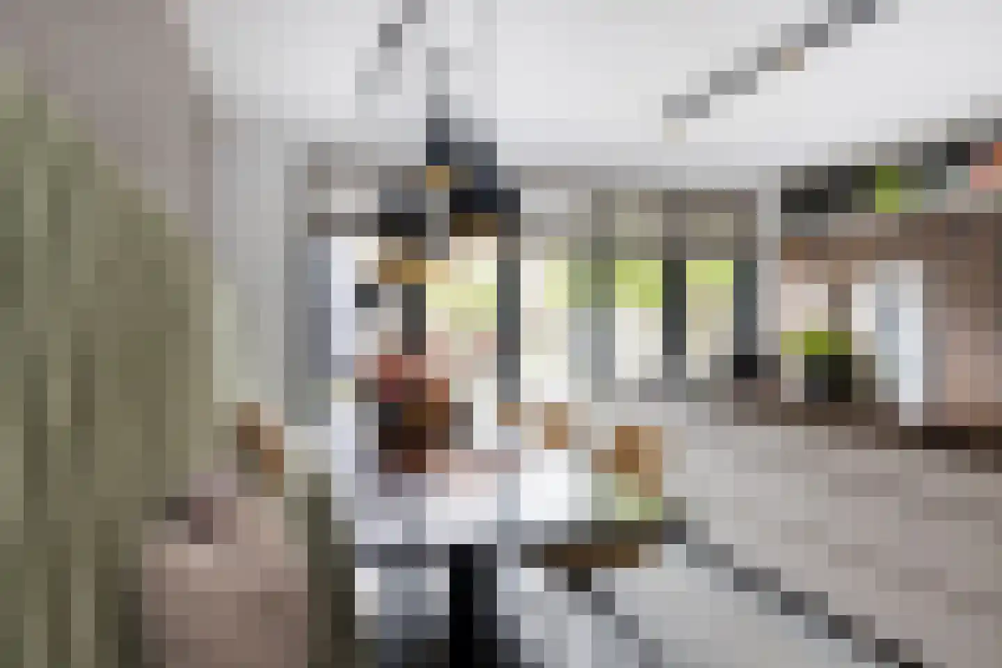 Oranjelaan 5 Helmond thumbnail 20