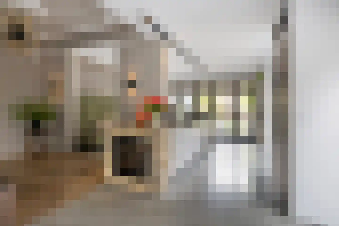 Oranjelaan 5 Helmond thumbnail 21
