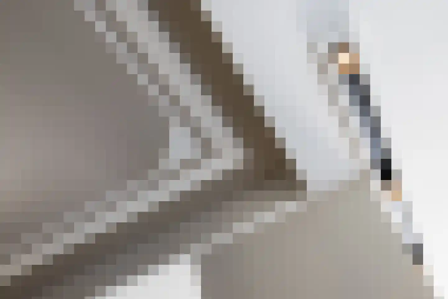 Oranjelaan 5 Helmond thumbnail 22