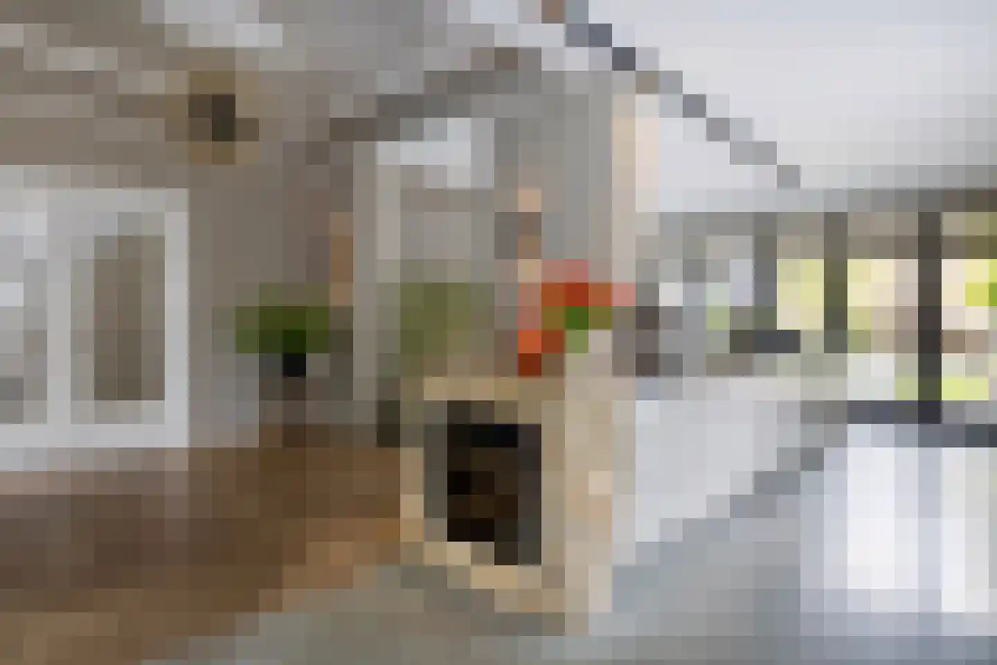 Oranjelaan 5 Helmond thumbnail 28