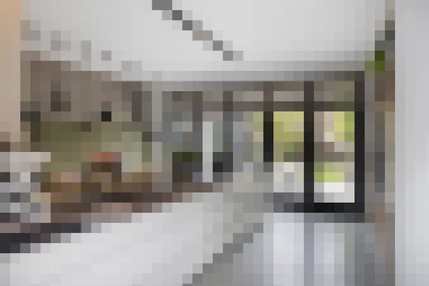 Oranjelaan 5 Helmond thumbnail 29