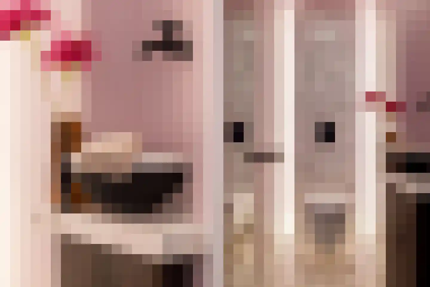 Oranjelaan 5 Helmond thumbnail 31