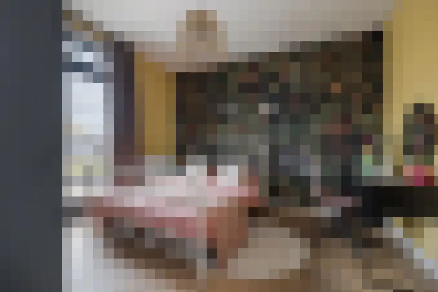 Oranjelaan 5 Helmond thumbnail 36