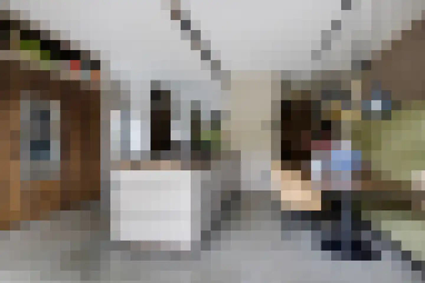 Oranjelaan 5 Helmond thumbnail 4