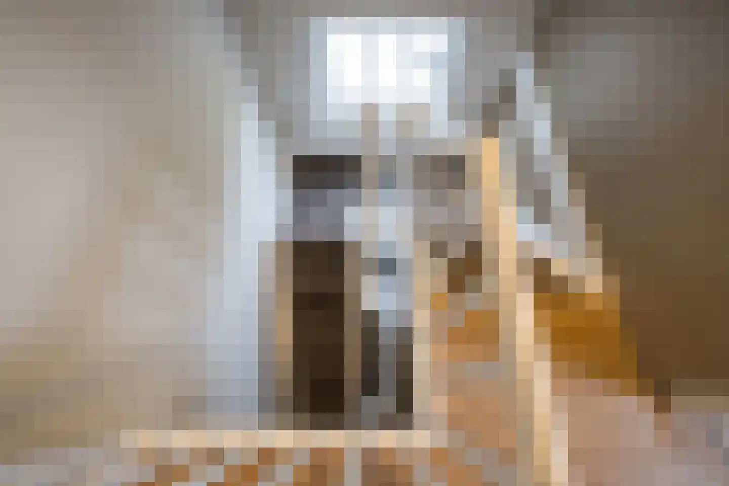 Oranjelaan 5 Helmond thumbnail 41