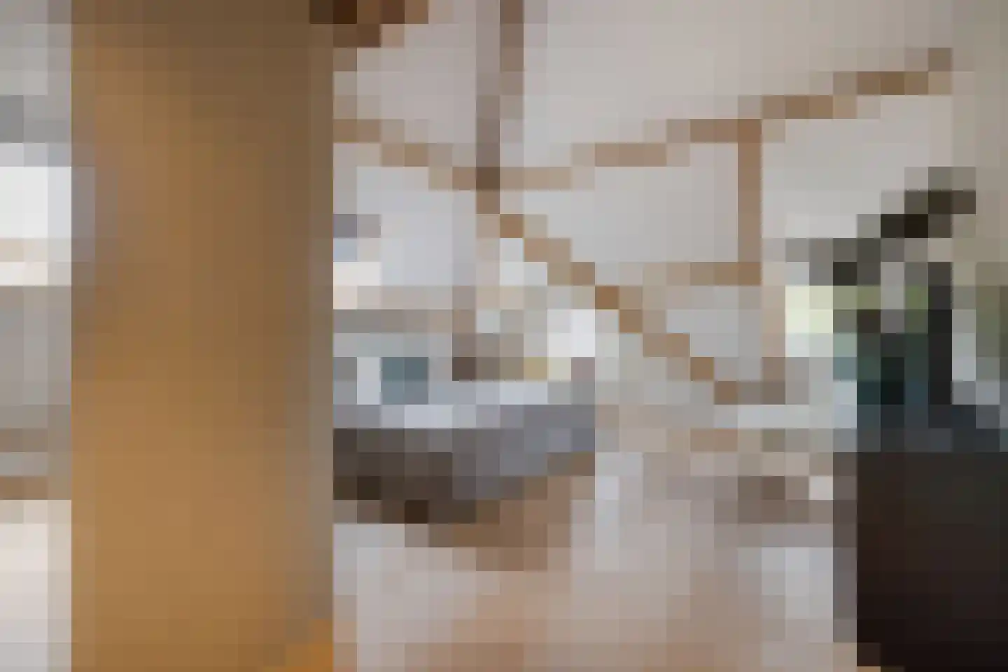 Oranjelaan 5 Helmond thumbnail 42